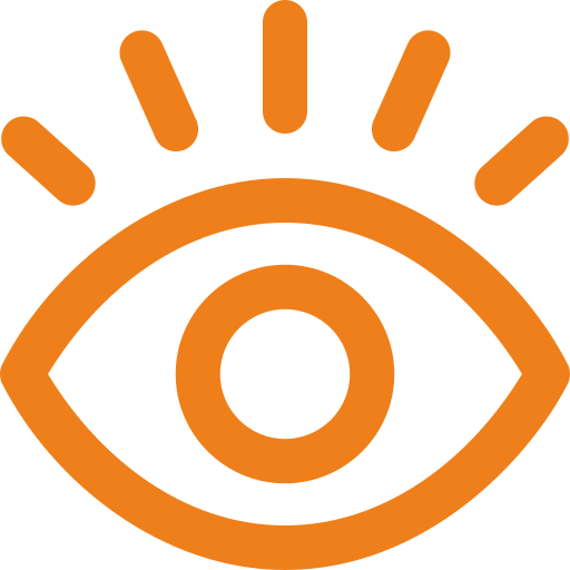 vision icon